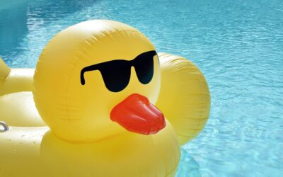 Pool or Spa Equipment Install